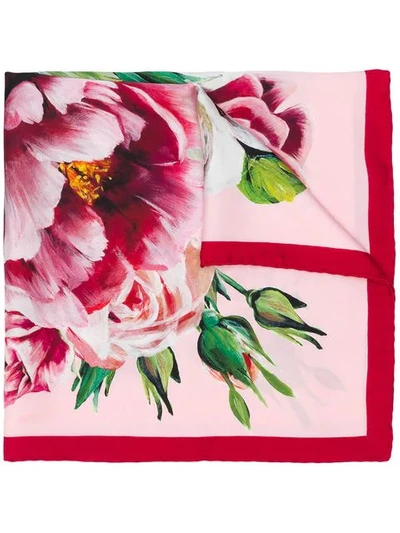 Dolce & Gabbana Floral Printed Scarf In Pink