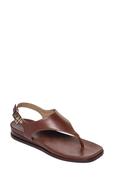 Bernardo Footwear Concord Slingback Sandal In Mahogany