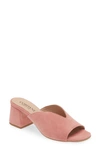 Cordani Pollie Slide Sandal In Rose Suede