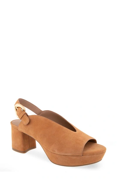 Aerosoles Cornelia Slingback Platform Sandal In Tan Suede