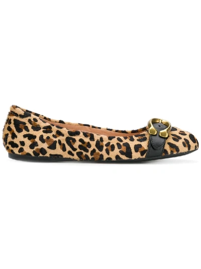 Coach Leopard Ballerina Shoes - Neutrals