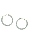 Olivia Welles Carm Crystal Hoop Earrings In Metallic