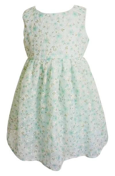 Popatu Babies' Floral Embroidered Tulle Overlay Party Dress In Mint