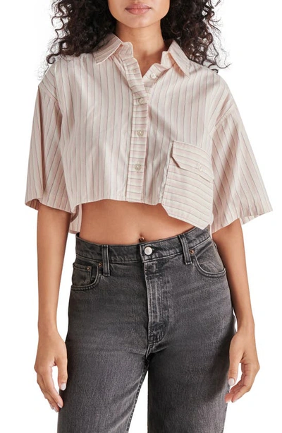 Steve Madden Tristan Stripe Oversize Crop Button-up Shirt In Rose Taupe