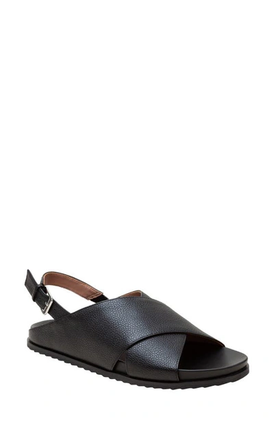 Linea Paolo Raylin Slingback Sandal In Black