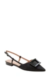 Linea Paolo Carmen Slingback Pointed Toe Flat In Black