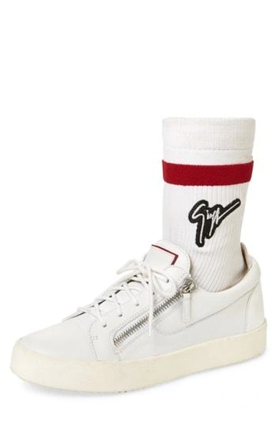 Giuseppe Zanotti Low-top Sneaker In Bianco White
