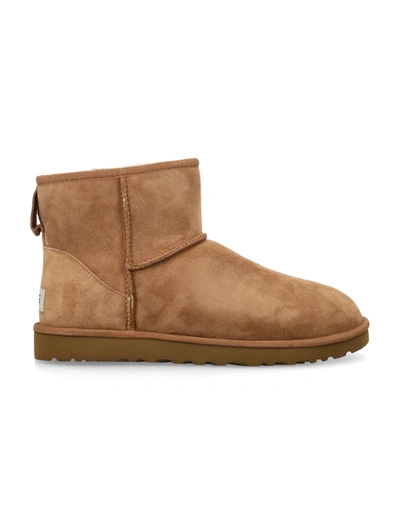 Ugg M Classic Mini In Chestnut