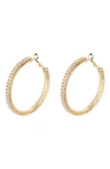 Tasha Crystal Hoop Earrings In Gold