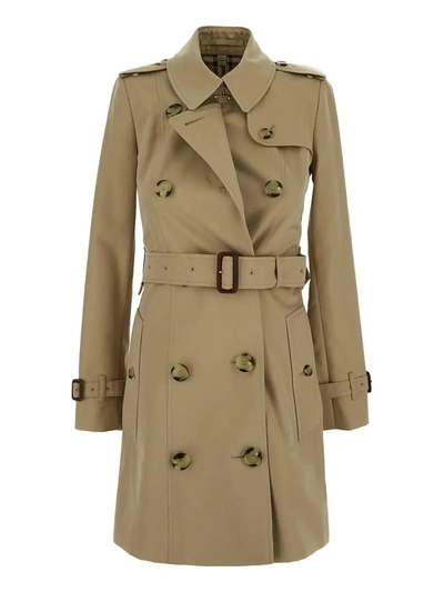 Burberry Classic Trench In Honey