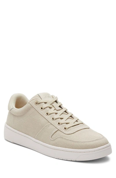 Toms Trvl Lite Court Trainer In Natural