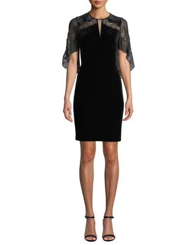 Elie Tahari Essence Velvet Dress With Chiffon Sleeves In Black