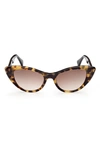 Max Mara 51mm Cat Eye Sunglasses In Shiny Tokyo Tortiose Black