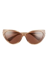 Max Mara 57mm Cat Eye Sunglasses In Brown/ Gold/ Brown