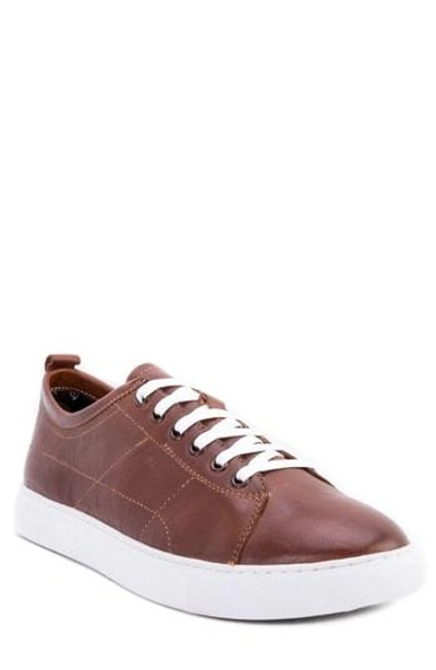 Robert Graham Blackburn Low Top Sneaker In Brown Leather