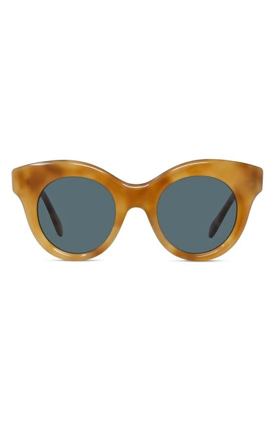 Loewe Curvy 49mm Small Round Sunglasses In Blonde Havana / Blue