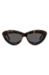 Loewe Curvy 54mm Cat Eye Sunglasses In Dark Havana / Smoke