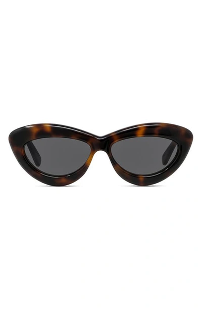 Loewe Curvy 54mm Cat Eye Sunglasses In Dark Havana / Smoke