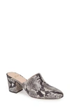 Jcrew Block Heel Mule In Grey Snake Embossed Leather