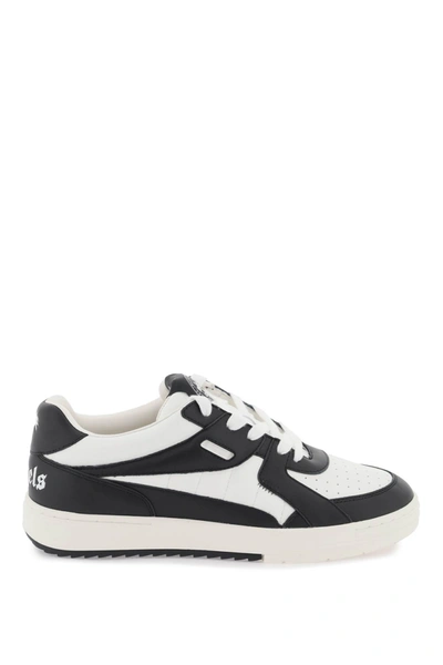 Palm Angels Palm University Sneakers In White Blac