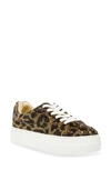 Betsey Johnson Women's Sidny Platform Sneakers In Leopard