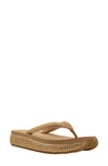 Volatile Palau Platform Flip Flop In Gold