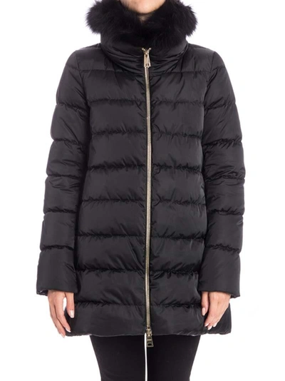 Herno - Down Jacket In Black