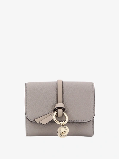 Chloé Wallet In Grey