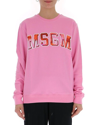 Msgm Logo Sweatshirt In Pink