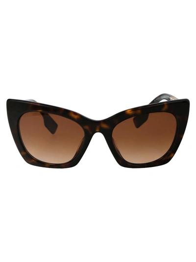 Burberry Sunglasses In 300213 Dark Havana