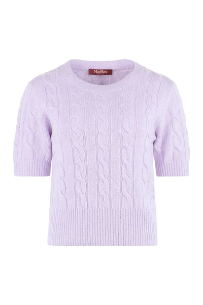Max Mara Studio Cashmere Sweater In Lilac