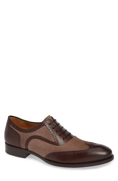 Mezlan Cantone Wing Tip Lace-up Oxford In Brown/ Taupe Leather/ Suede