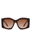 Burberry Joni 55mm Gradient Square Sunglasses In Dk Havana