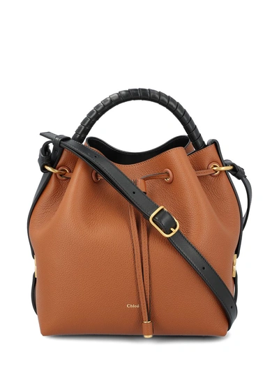 Chloé Handbags In Brown