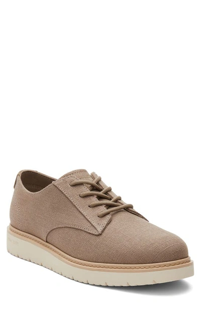 Toms Navi Derby In Grey