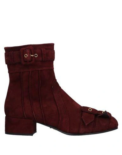 Prada Ankle Boots In Maroon