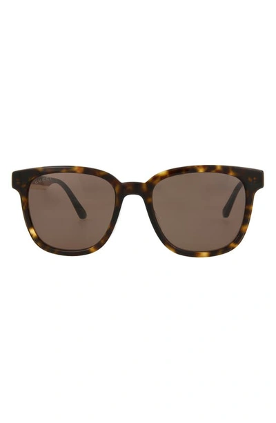 Gucci 54mm Square Sunglasses In Havana Blue Brown