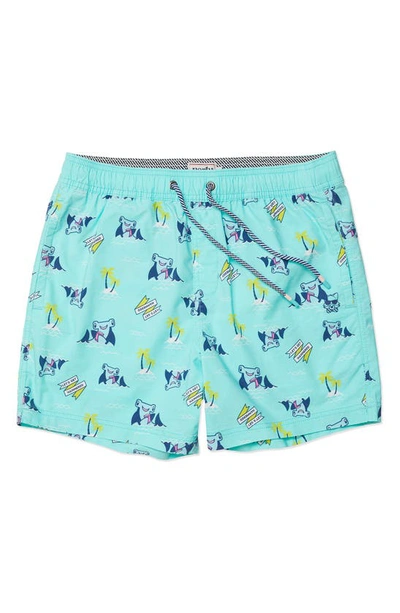 Party Pants Hammertime Swim Shorts In Mint Green