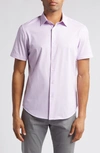 Bugatchi Men's Ooohcotton Miles Pin Dot Cotton-blend Short-sleeve Shirt In Lilac