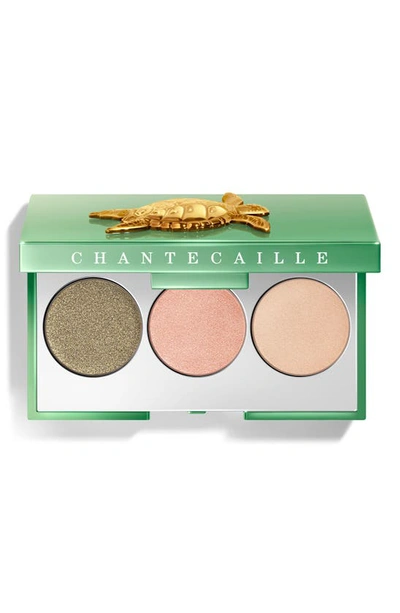 Chantecaille Sea Turtle Eyeshadow Trio In Warm