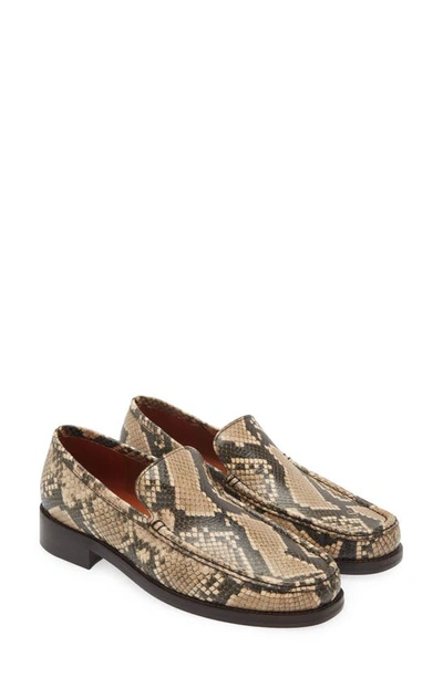 Acne Studios Snakeskin Print Loafer In Beige