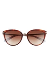 Kate Spade Savona 53mm Gradient Polarized Cat Eye Sunglasses In Hvpttblue / Brown Gradient