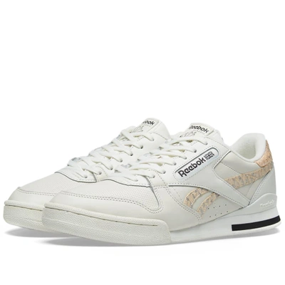 Reebok Phase 1 Pro In Neutrals