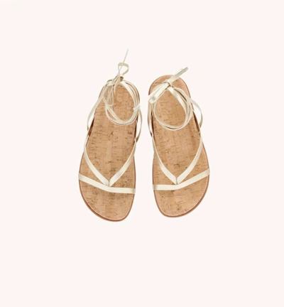 Ancient Greek Sandals Glykeria Sandal In Platinum In Silver
