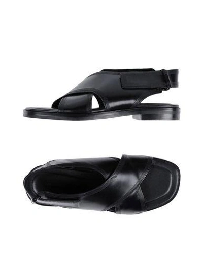 Alexander Wang Sandals In Black