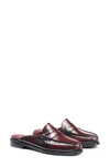 G.h.bass Wynn Easy Weejuns® Loafer Mule In Wine