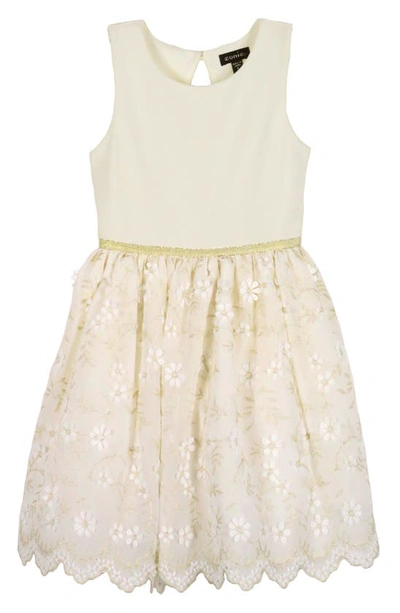 Zunie Kids' Embroidered Party Dress In Ivory/ Gold