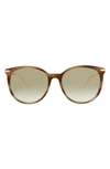 Gucci 56mm Cat Eye Sunglasses In Havana Gold Brown