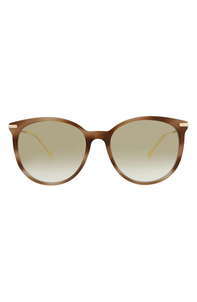 Gucci 56mm Cat Eye Sunglasses In Havana Gold Brown