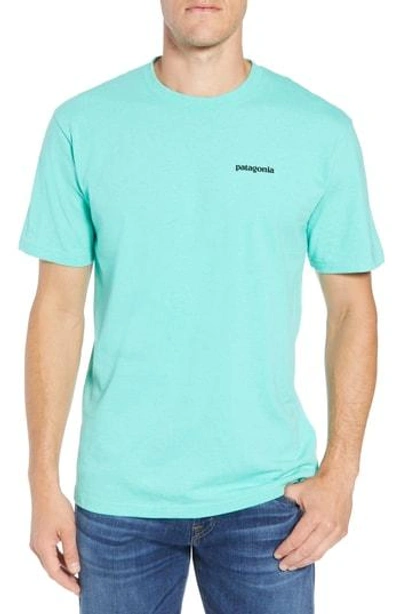 Patagonia Responsibili-tee T-shirt In Vjosa Green